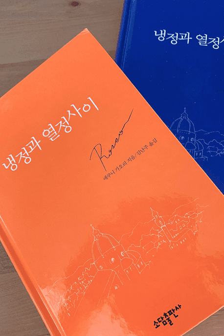 냉정과 열정 사이